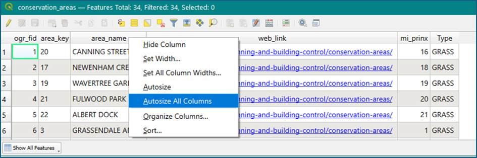 QGIS Columns 5.jpg