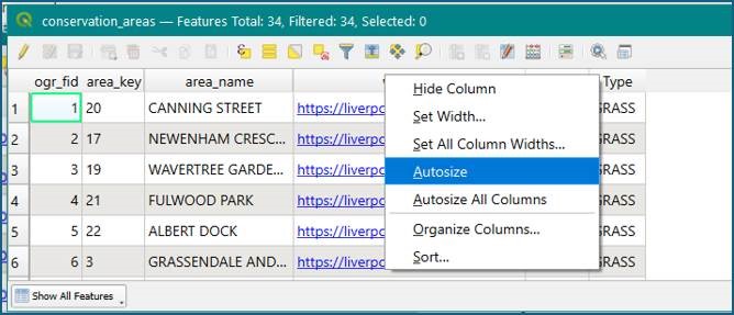 QGIS Columns 3.jpg