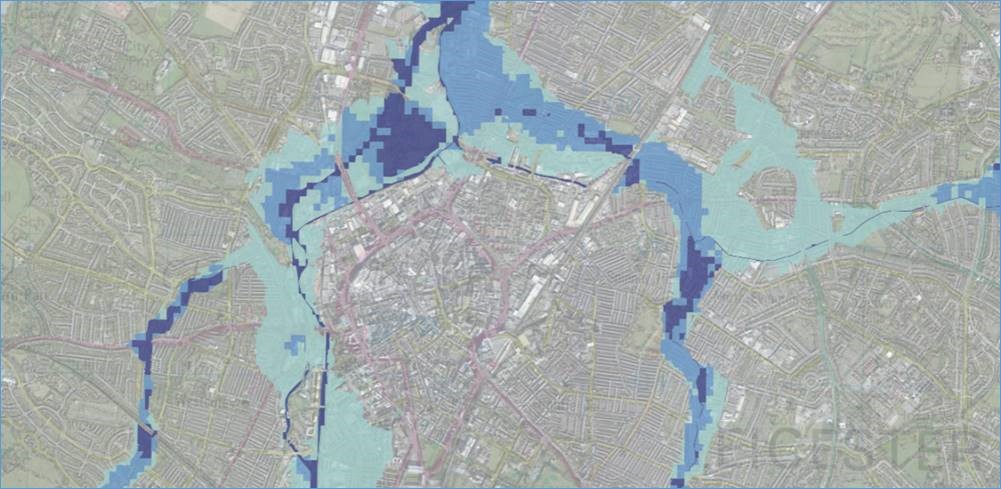 img1.jpg