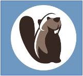 PostGIS___PGAdmin_or_DBeaver_-_2.JPG