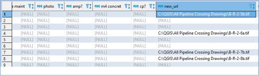 PostGIS___Replace_Values_in_a_Field_-_2.PNG