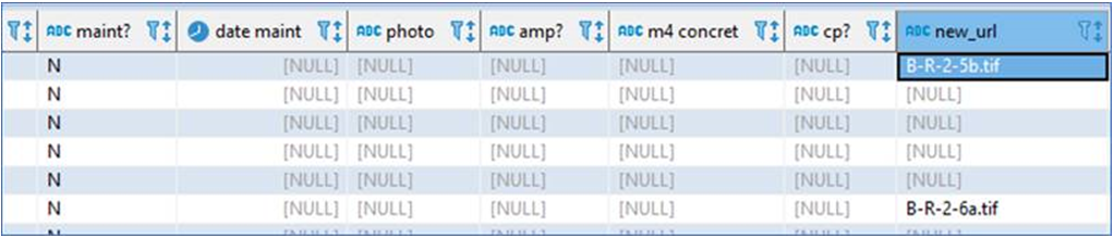 PostGIS___Replace_Values_in_a_Field_-_6.PNG