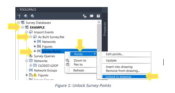 Civil3D_Survey_Data_DL_01.JPG