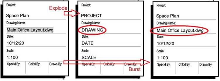 ACAD_Burst_DC_02.jpg