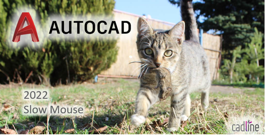 AutoCAD_2022_-_Slow_Mouse_-_1.PNG