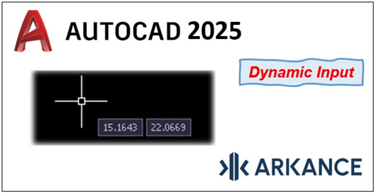 dynamic input 1.png